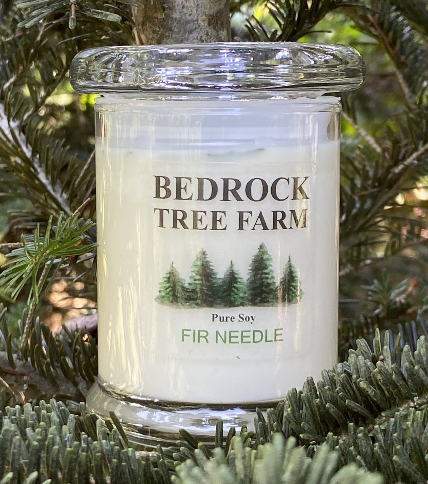 SOY CANDLE - Fir Needle Natural Libbey Status Jar 8 oz. with Wooden Wick - LSJ8N