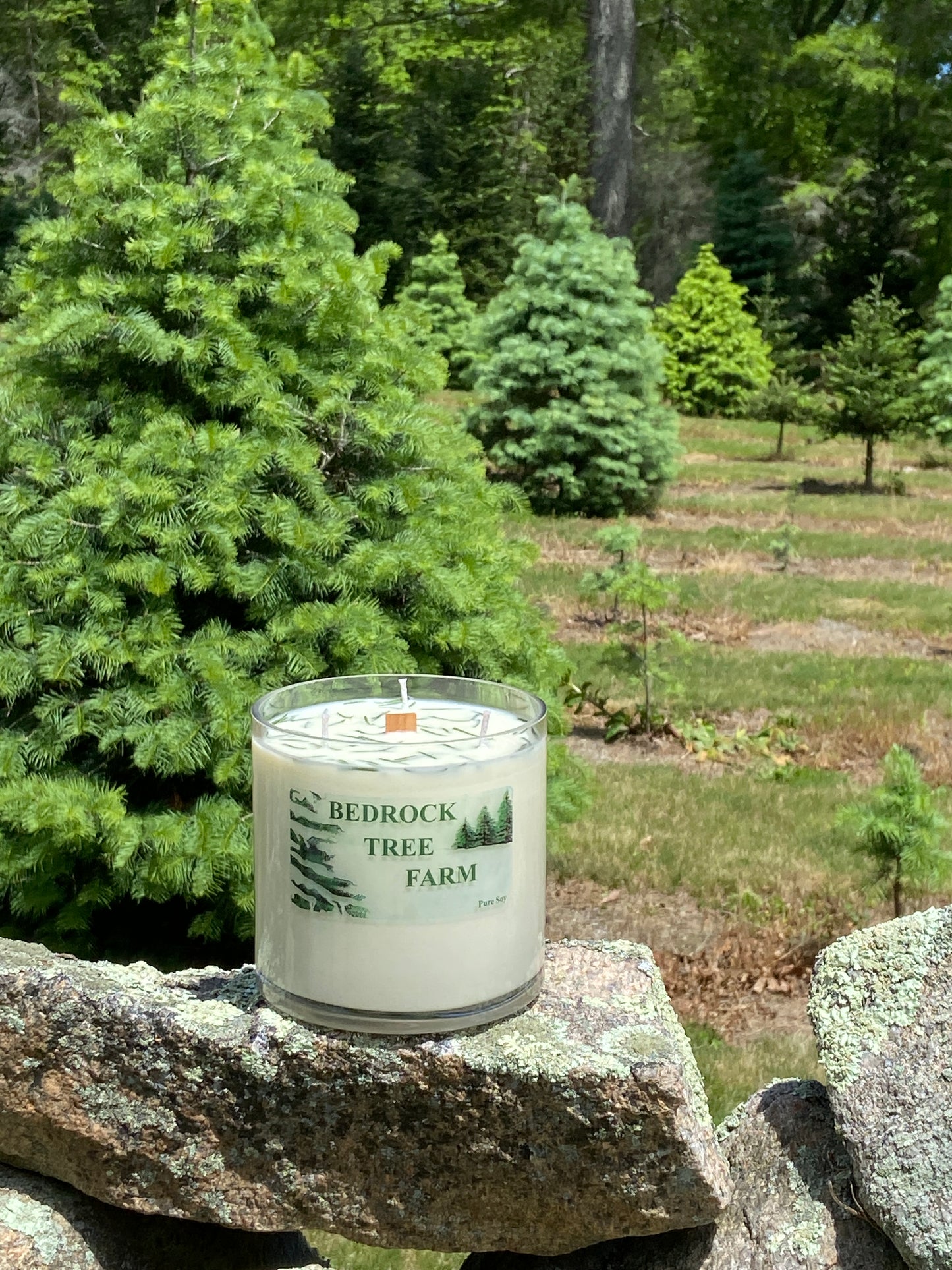 SOY CANDLE - Fir Needle Natural VASE - 32 oz. with one wooden center wick and 3 outer cotton wicks - V32N
