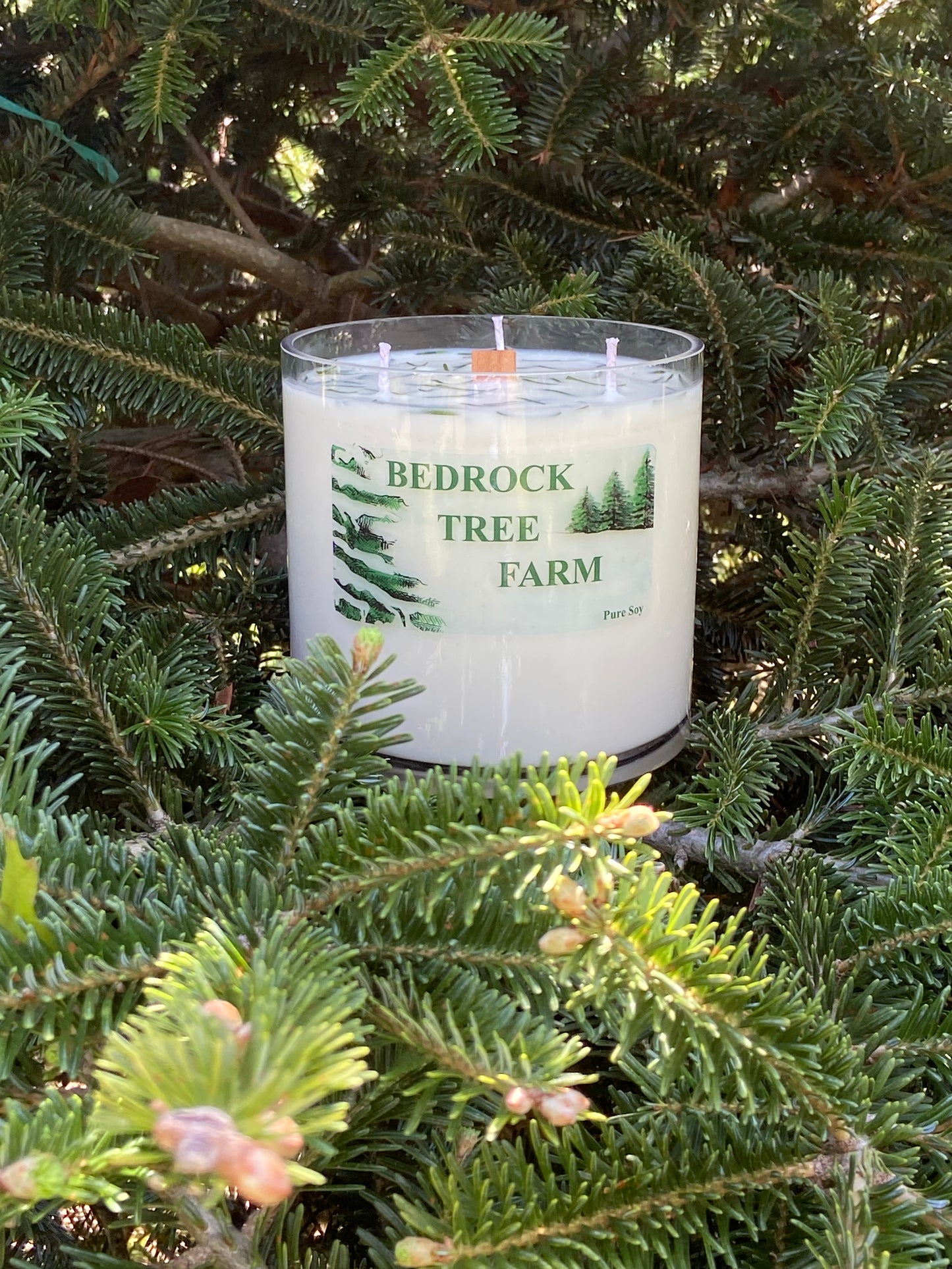 SOY CANDLE - Fir Needle Natural VASE - 32 oz. with one wooden center wick and 3 outer cotton wicks - V32N