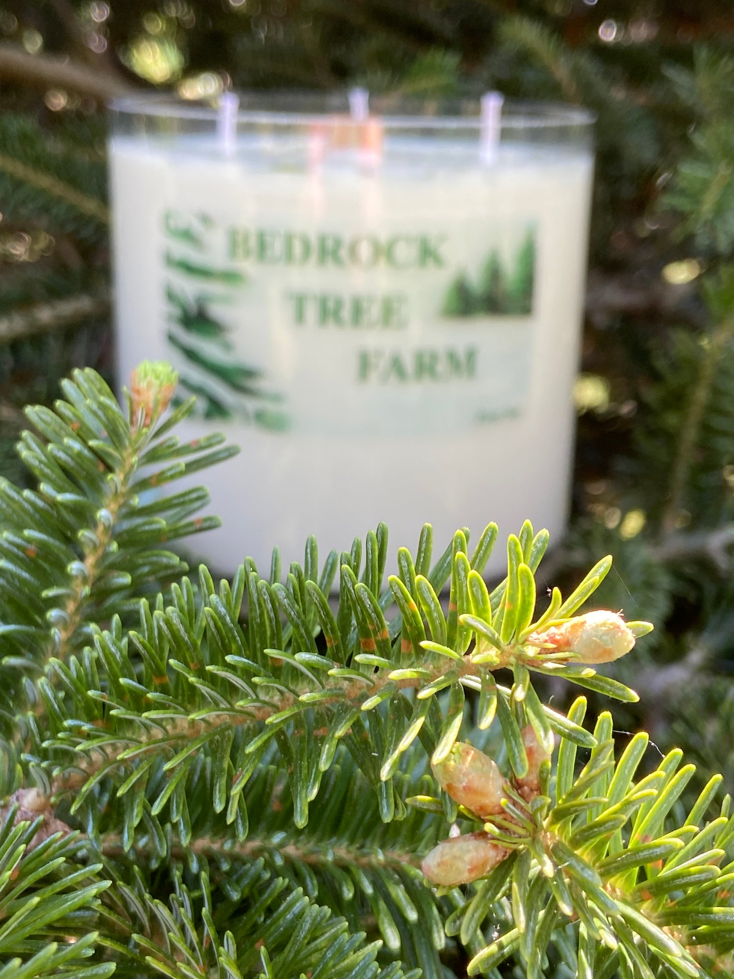 SOY CANDLE - Fir Needle Natural VASE - 32 oz. with one wooden center wick and 3 outer cotton wicks - V32N